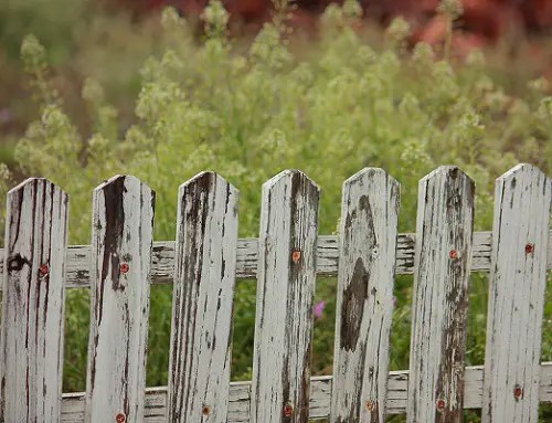dog proofing your fence