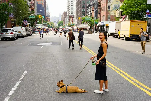 Bulldog On Leash