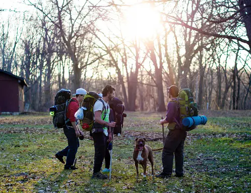 Preparing Dog Backpacking Hiking