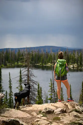 Dog Backpacking In Mountains