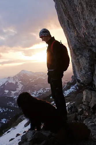 Dog Backpacking And Hiking