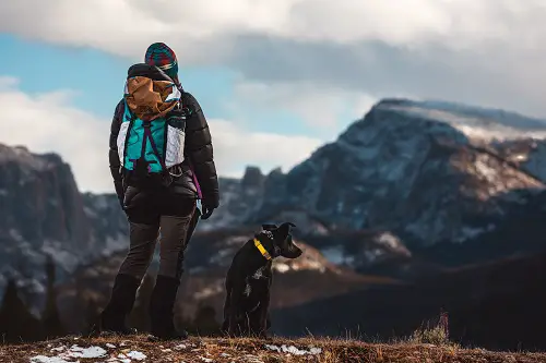 Dog Backpacking Hiking