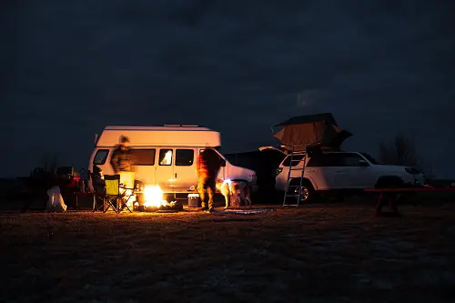 Dog Camping Car Night