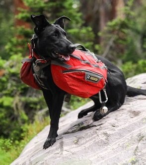 Dog Backpacking Hiking