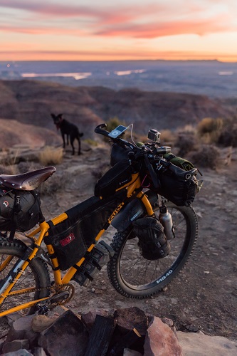 Dog Bike Safe In Mountains