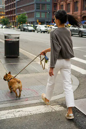 Woman Walking Dog