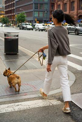 can i lose weight by walking my dog