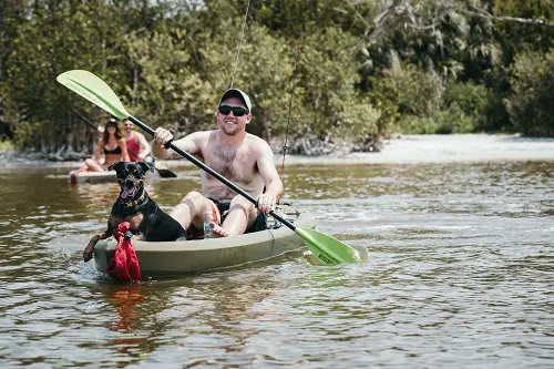 Kayak Dog Fishing