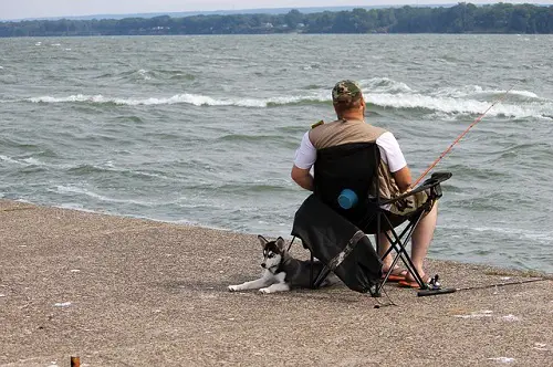 Man Take His Dog Fishing