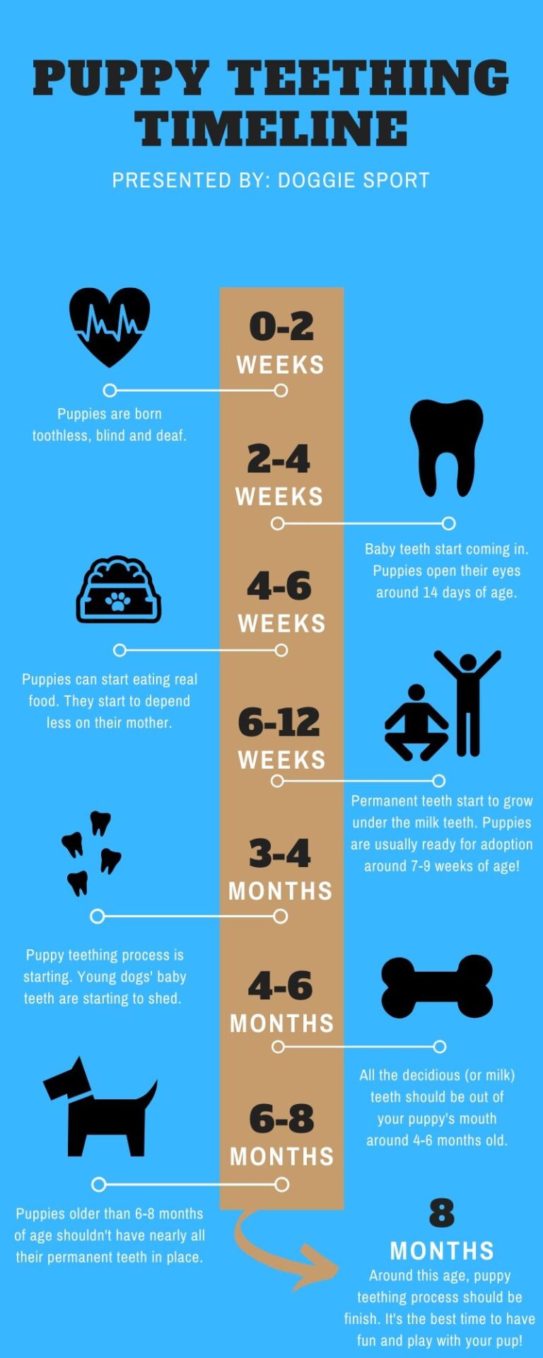 Puppy Teething Timeline Plus Helpful Tips And Tricks! Doggie Sport