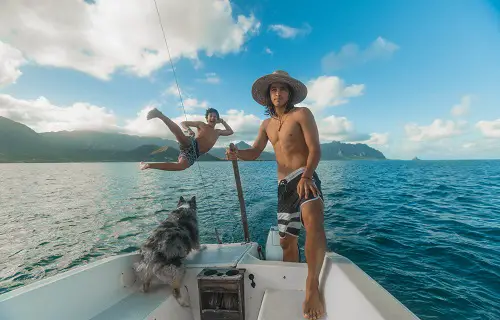 Dog Have Fun On Boat
