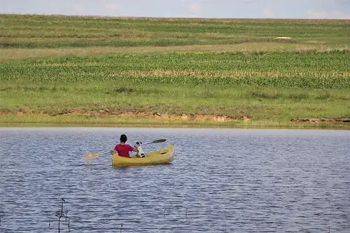 Kayak With Dog