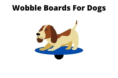 Wobble Boards For Dogs Image