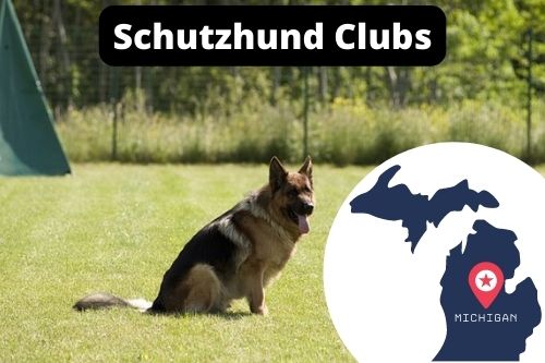 Schutzhund Clubs Michigan
