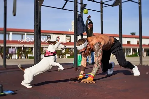 Athlete Exercise With Dog