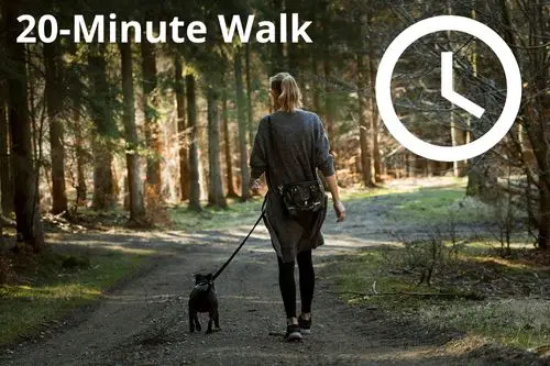 20-Minute Dog Walk