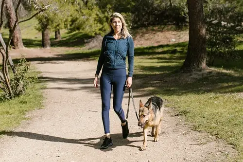 German Shepherd Walk Far